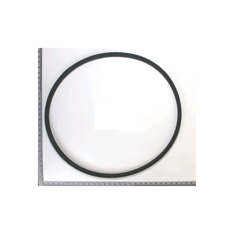 SCHEPPACH - Courroie Trapézoïdale Pour Tondeuses Scheppach Et Woodster 1 SCHEPPACH - Courroie Trapézoïdale Pour Tondeuses Scheppach Et Woodster