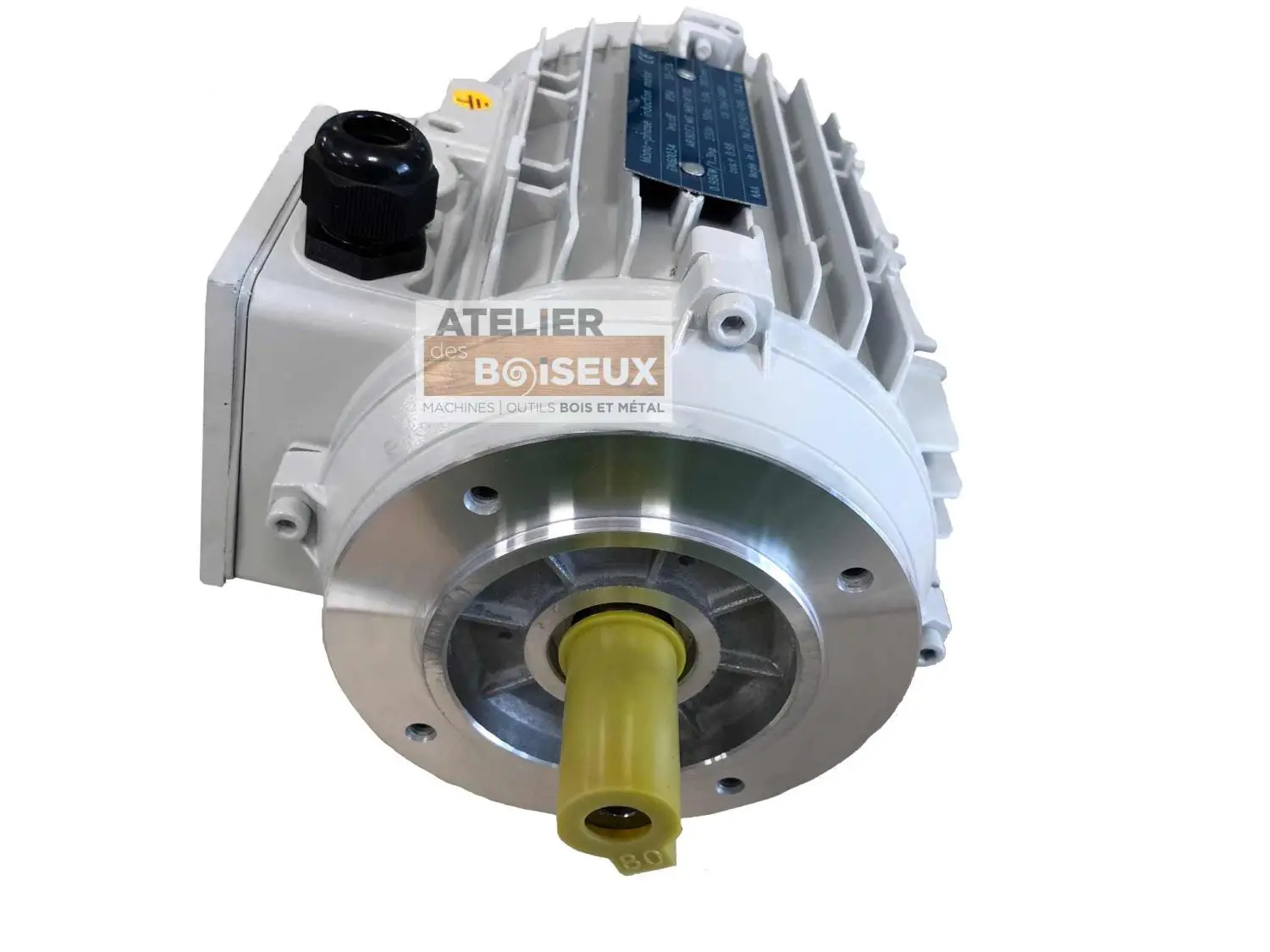 SCHEPPACH - Moteur 230V Monophasé 0.98 KW Pour Combiné Scheppach, Kity Et Woodster 2 SCHEPPACH - Moteur 230V Monophasé 0.98 KW Pour Combiné Scheppach, Kity Et Woodster – Image 2