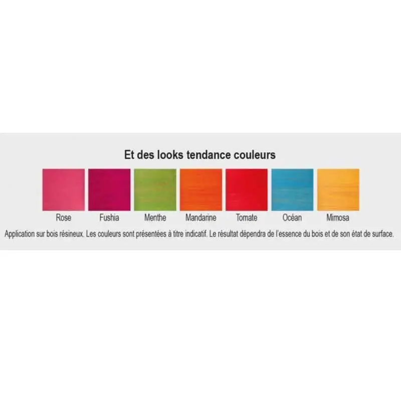 RUBIO MONOCOAT - Saturabois - Protection Monocouche Extérieure - 7 Tendances Couleurs 2 RUBIO MONOCOAT - Saturabois - Protection Monocouche Extérieure - 7 Tendances Couleurs – Image 2
