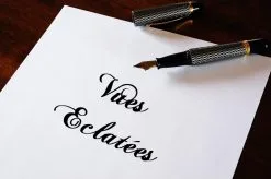 Vue éclatée HMS 1070